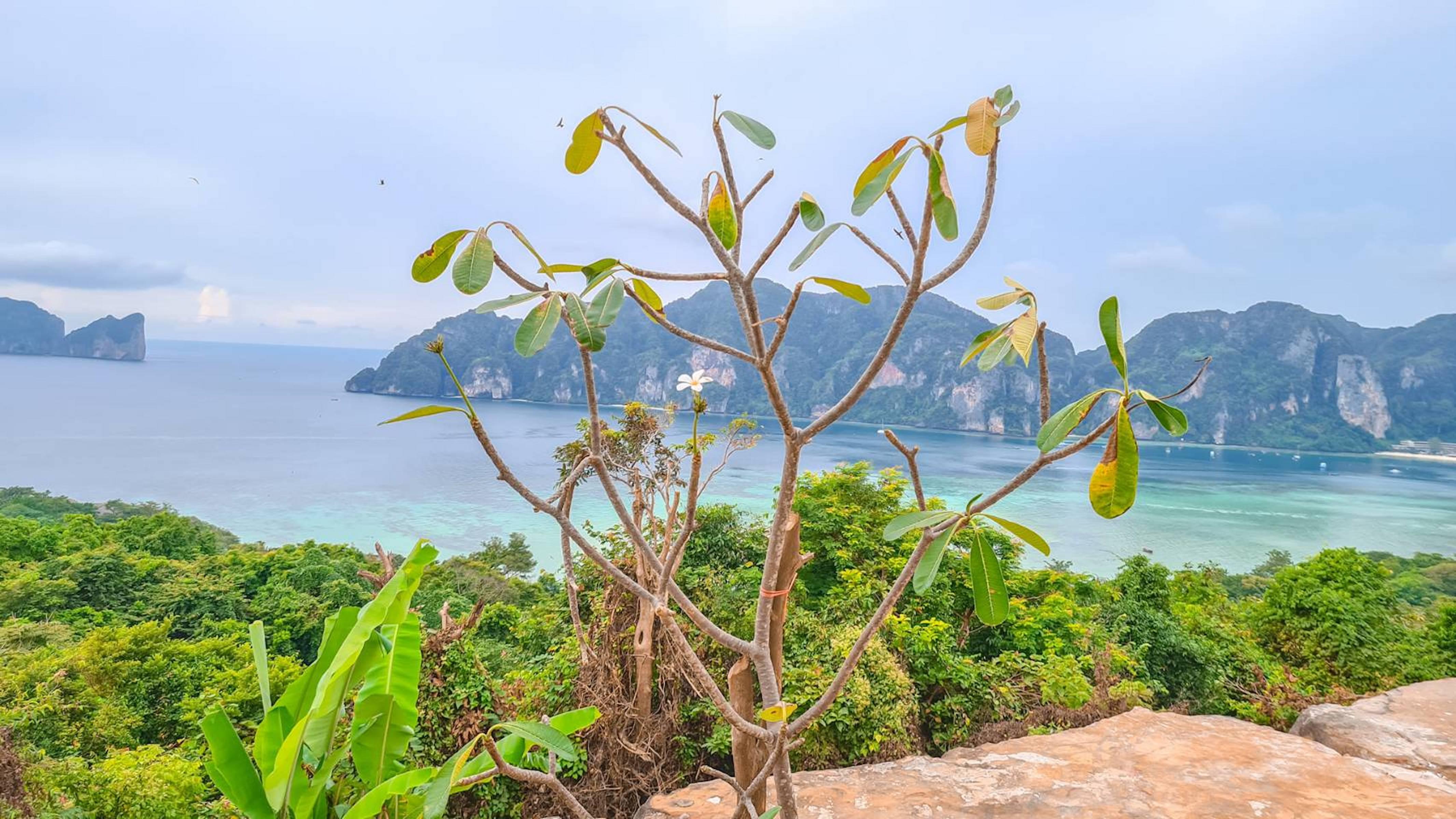 Phi Phi Mountain Beach Resort Sha Certified Exterior foto
